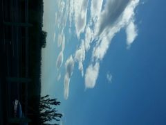 android_upload_pic-望京西(地铁站)