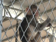 -西霞口神雕山野生动物世界