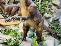 -国家自然博物馆