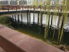 -西安汉城湖景区