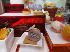 -哈根达斯(龙湖时代天街店)