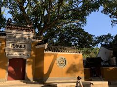 -原製原味(普陀山磐龙店)