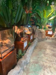 -酷嗒动物文化乐园(cutezoo西溪乐天城店)