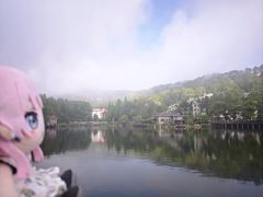 -庐山风景区花径公园