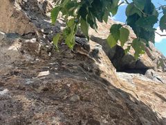 -白草畔自然风景区