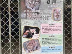 -哈尔滨北方森林动物园
