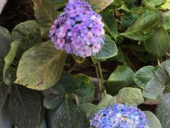 门面-妈妈的味道(和顺古镇店)