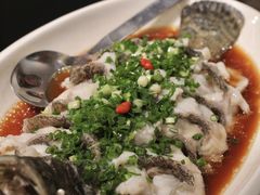 碎蒸老虎斑-云天楼国鼎喜宴中心(国鼎店)
