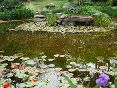 -深圳国际园林花卉博览园