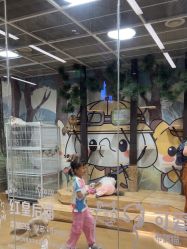 -小象动悟公园(龙湖亦庄天街店)