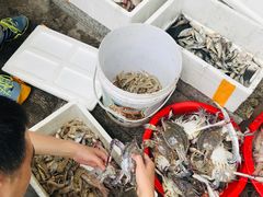 -金海湾海鲜排档(朱家尖店)
