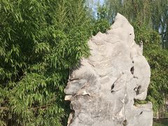 -黄村公园
