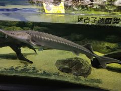-江和美海洋公园