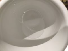 -大鸭梨烤鸭(顺义石园店)