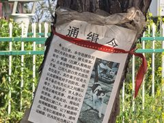 -巢湖姥山岛