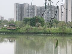 -广东花都湖国家湿地公园