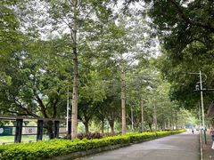 -风云岭森林公园