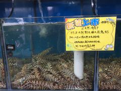 -蚝专家(北滘店)