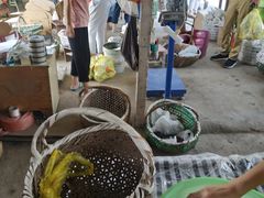 -马陆小张葡萄园农家乐