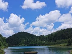 -武陵山森林公园