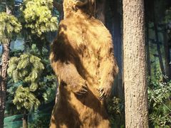 -陕西自然博物馆