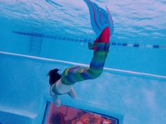 -上海潜殿潜水中心