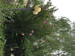 iphone_upload_pic-双新垂钓园