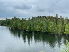 -白鹭湾湿地公园