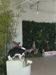 -IMON·HANSA潮玩玩偶毛绒玩具(通州万象汇店)