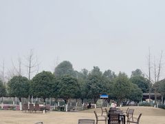 -洪湖家庭农场·团建·露营·会议