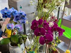 -FEI FEI FLOWER鲜花店·气球派对·宝宝宴布置(虹口德必运动Loft店)