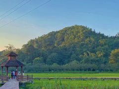 -红山村