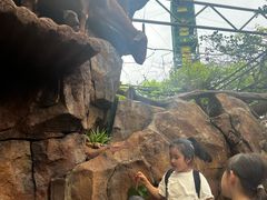 -长鹿旅游休博园
