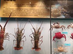 -天津自然博物馆