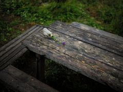 -白草畔自然风景区