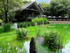 -静安公园(静安寺街道)