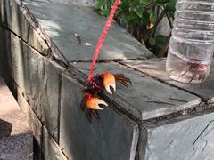 -黄埔古港