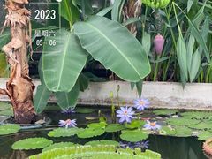 -北京植物园南门售票处