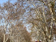 -河南省黄河迎宾馆