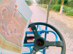 -上海海湾国家森林公园