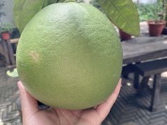 -咬不得高祖生煎·简餐(高银街店)