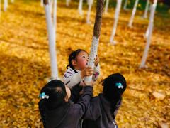 -艾溪湖湿地公园