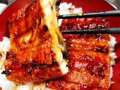 -名代宇奈备长炭烧鳗鱼居酒屋