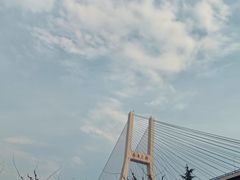 -南浦大桥长途旅游客运站