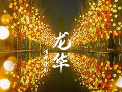 -龙华寺