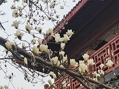 -堤角公园