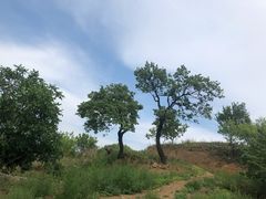 -水峪民俗村