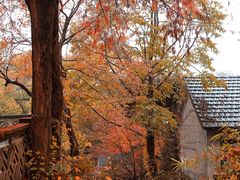 -北山街历史文化街区