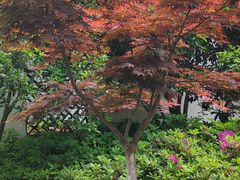 -南山风景名胜区