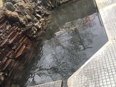 -中部国际机场
